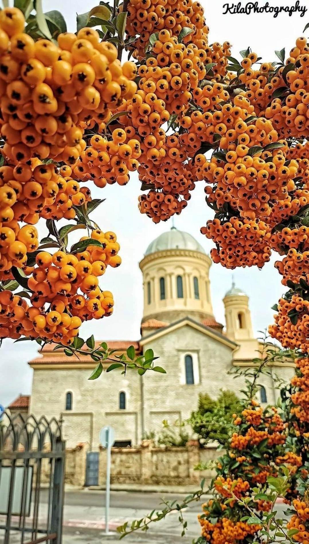 Gori Palace Apartments מראה חיצוני תמונה